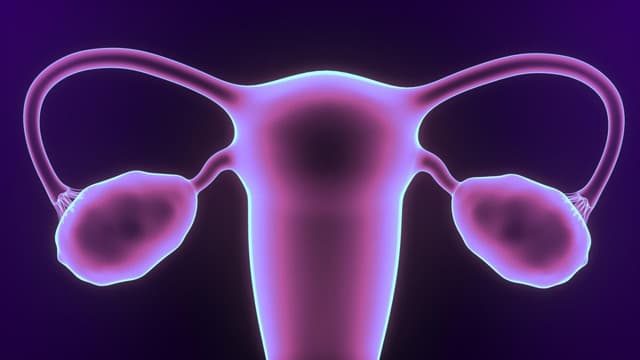 Dày thành bàng quang là gì? Ảnh hưởng của nó?