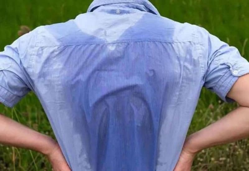 đốt hạch thần kinh giao cảm