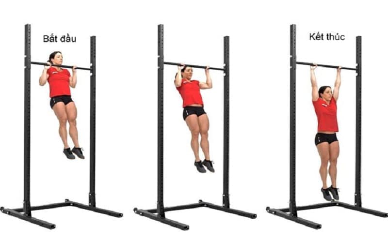 hít xà đơn có tăng chiều cao không