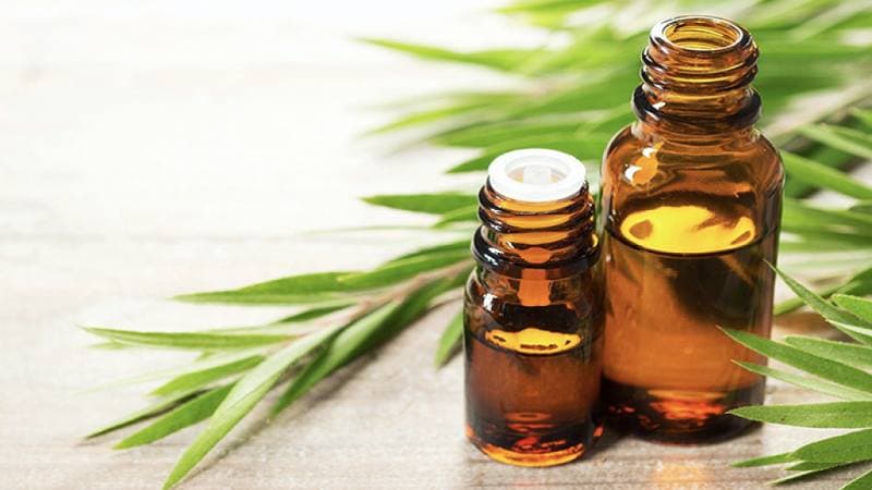 cách sử dụng tinh dầu tràm