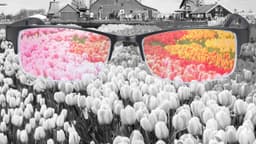 Mù màu xanh đỏ là gì?