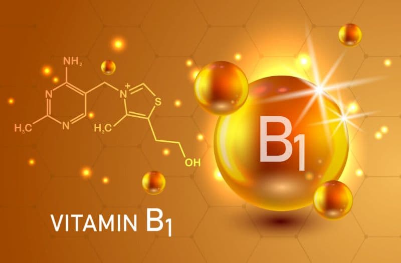 vitamin B1 cần thiết cho quá trình chuyển hóa