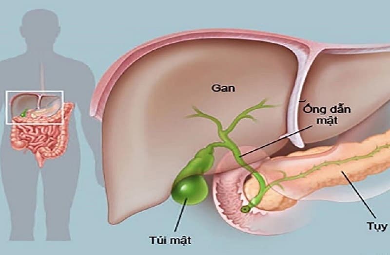 dấu hiệu ung thư đường mật