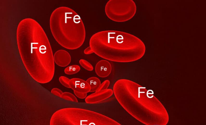 thiếu máu ở người cao tuổi