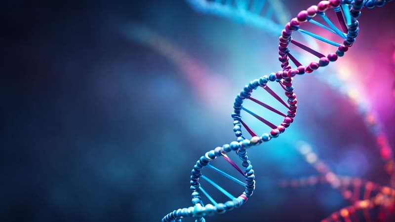 rối loạn chuyển hóa axit folic