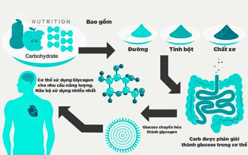 rối loạn chuyển hóa carbohydrate