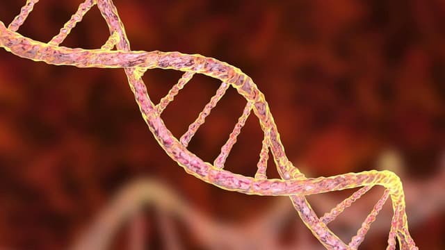 Tìm hiểu về bệnh rối loạn chuyển hóa di truyền