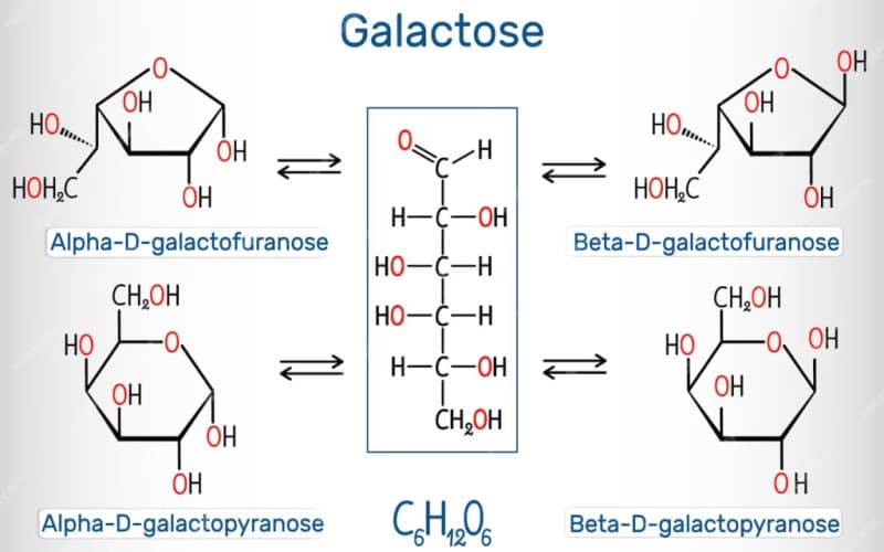 rối loạn chuyển hóa galactose có nguy hiểm không