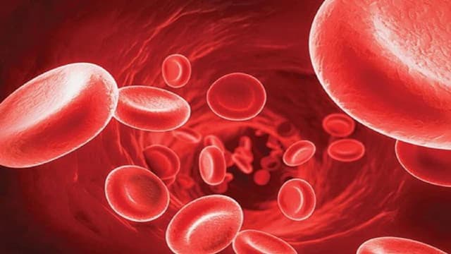 Rối loạn chuyển hóa kali là bệnh gì?