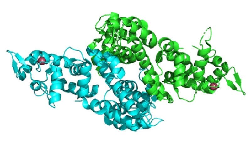 rối loạn chuyển hóa citrin