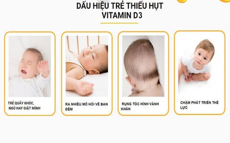 chuyển hóa vitamin d