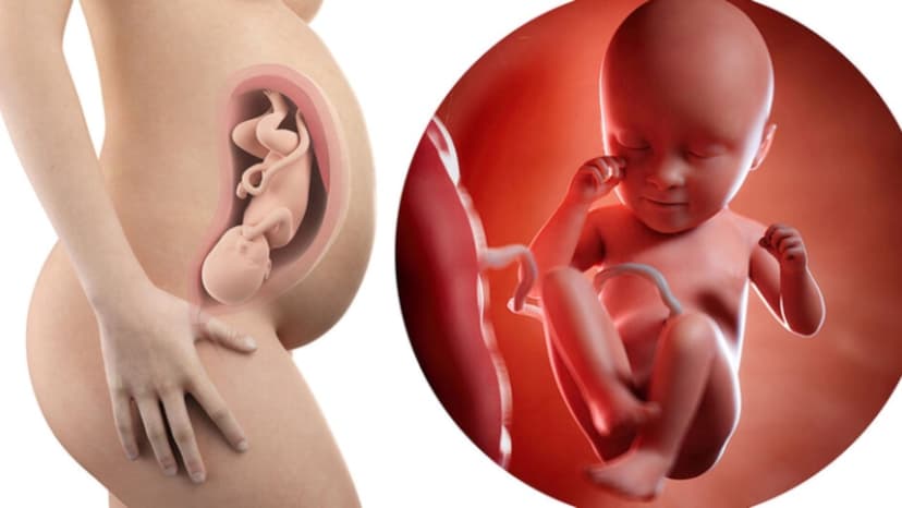 Sự phát triển của thai nhi tuần 35