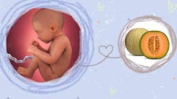 Sự phát triển của thai nhi 34 tuần tuổi: Những thay đổi quan trọng