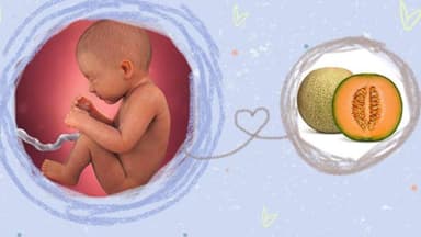 Sự phát triển của thai nhi 34 tuần tuổi: Những thay đổi quan trọng