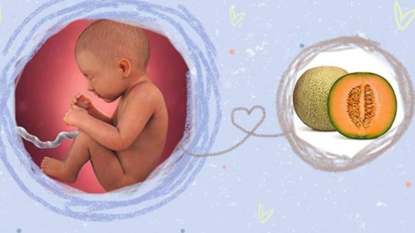 Sự phát triển của thai nhi 34 tuần tuổi: Những thay đổi quan trọng