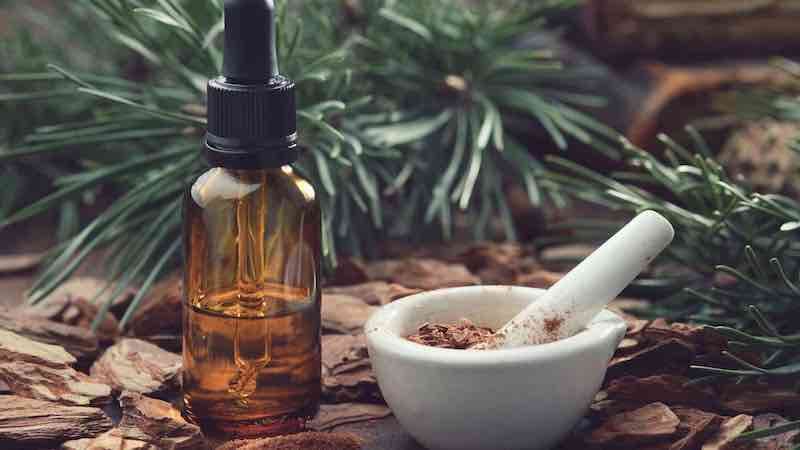 tinh dầu thông đỏ có tác dụng gì