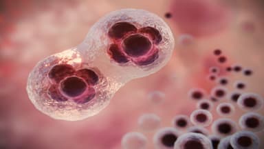 Tế bào ung thư phát triển trong bao lâu?