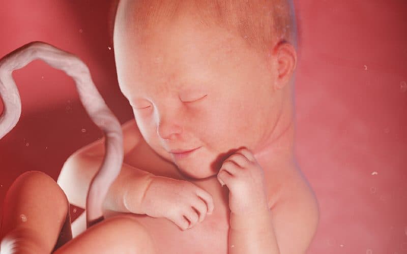 thai nhi 32 tuần phát triển như thế nào