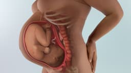 Thai nhi 40 tuần tuổi phát triển như thế nào?