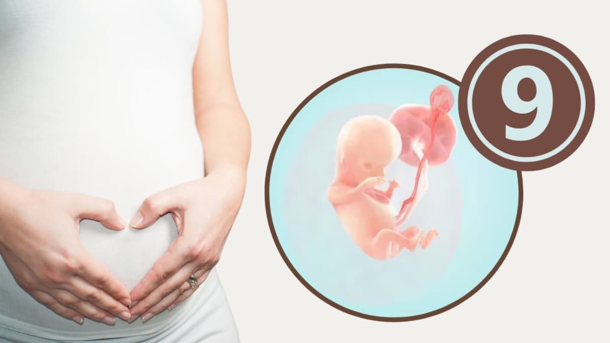 Thai nhi 9 tuần phát triển như thế nào?