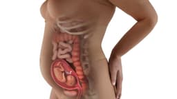 Giải đáp:Thai nhi 19 tuần tuổi phát triển như thế nào?