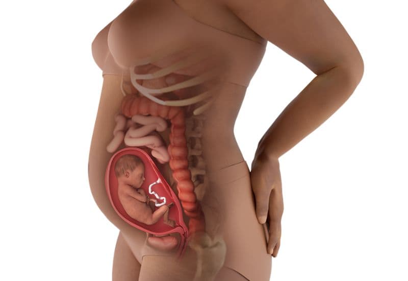 thai nhi 22 tuần tuổi phát triển như thế nào