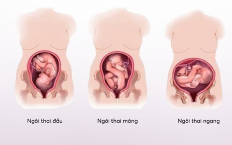 thai nhi 36 tuần phát triển như thế nào