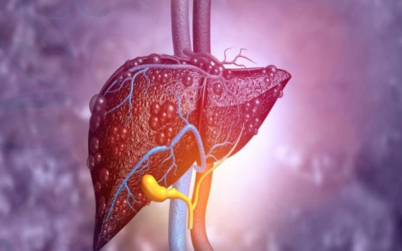 các thuốc điều trị tăng men gan