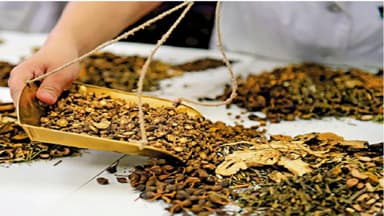 Có nên dùng thuốc đông y chữa polyp đại tràng?