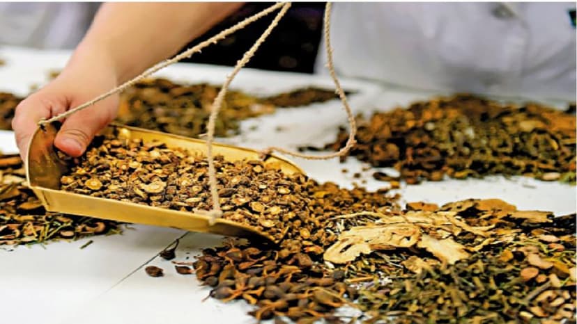 Có nên dùng thuốc đông y chữa polyp đại tràng?