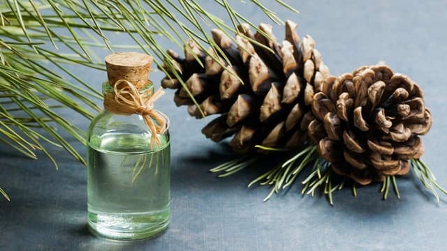 Tinh dầu thông đỏ có bôi mặt được không?