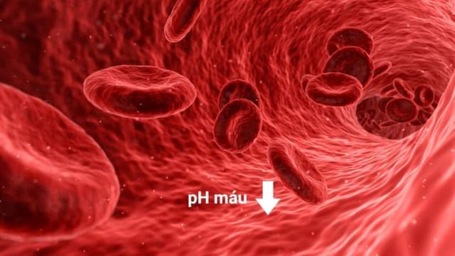 Toan chuyển hóa là gì? Nhiễm toan chuyển hóa vì sao nguy hiểm?