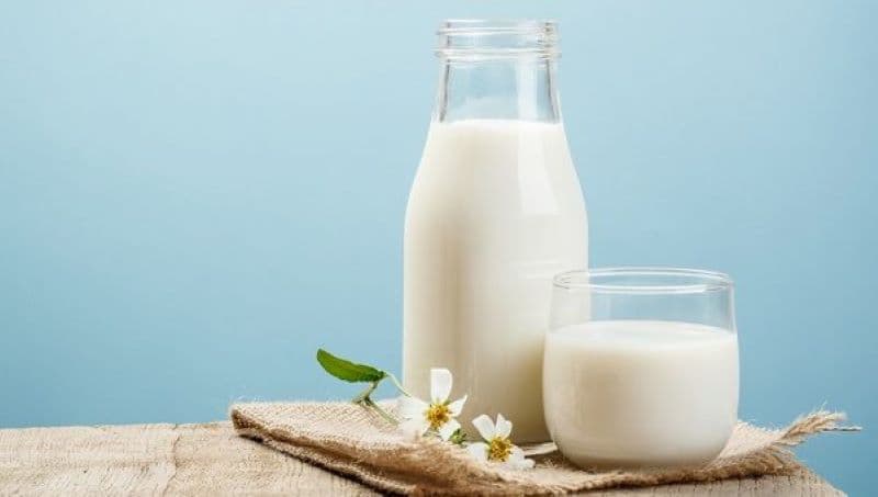 sữa dành cho người ung thư máu