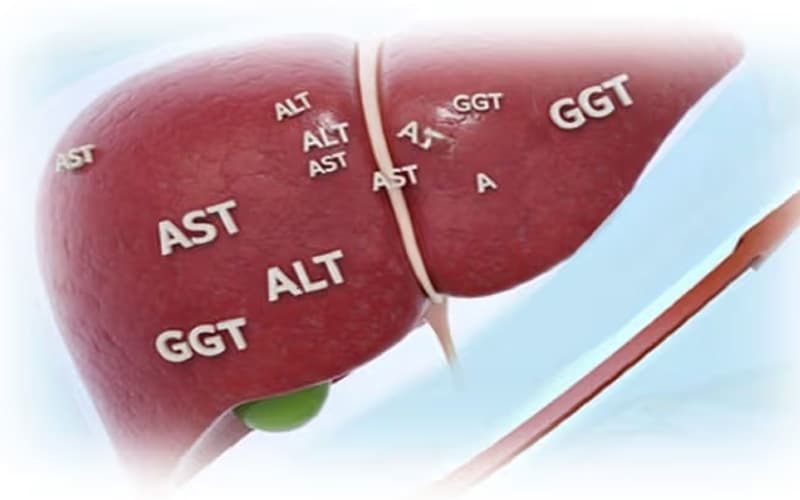 uống omega 3 có làm tăng men gan không