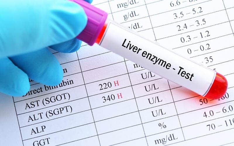 uống thuốc mỡ máu có làm tăng men gan không