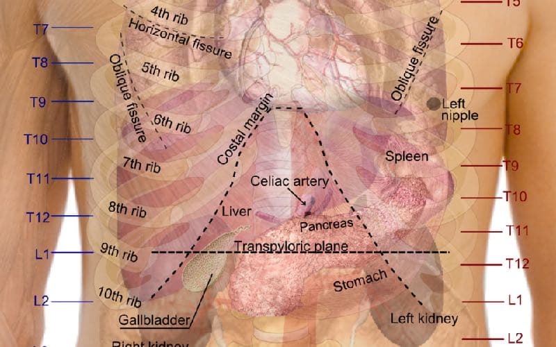 gãy xương sườn số 9 có nguy hiểm không