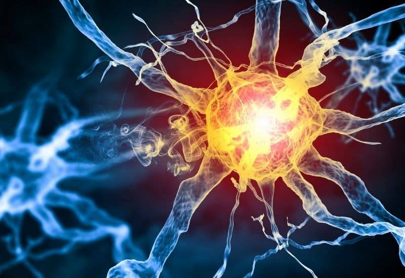 thủy châm vitamin b12 có tác dụng gì