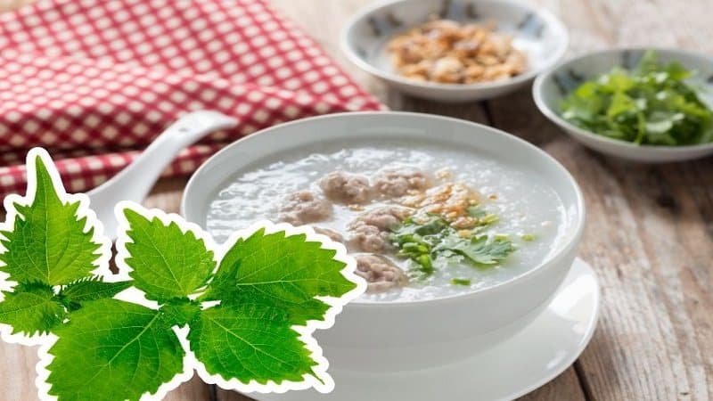 bầu ăn lá tía tô được không