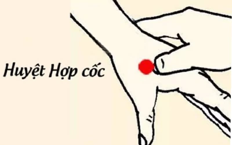 đau nửa đầu bên trái bấm huyệt nào