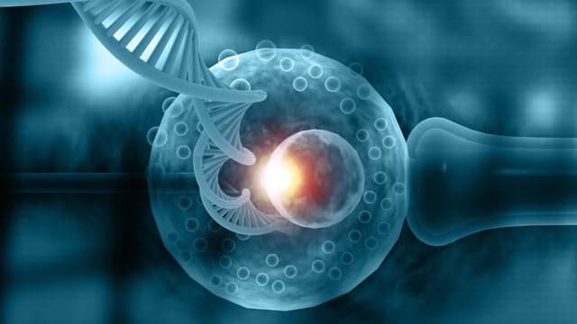 Bất thường nhiễm sắc thể số 6 là gì?