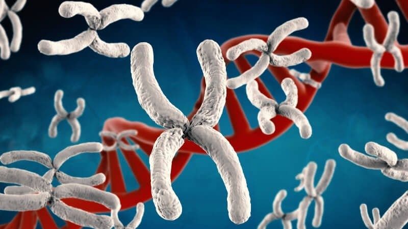 bất thường nhiễm sắc thể số 3