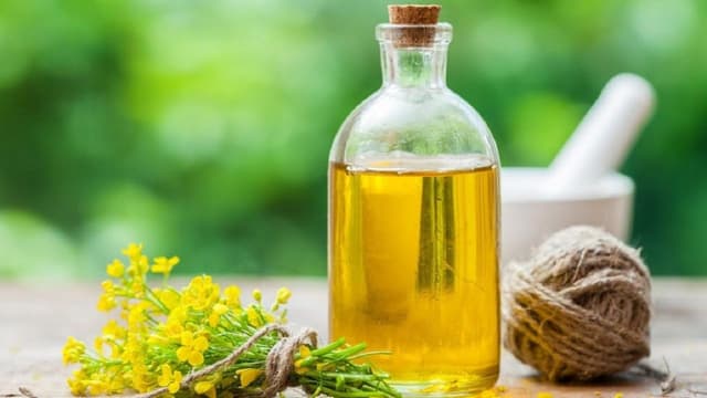 Cách sử dụng dầu hạt cải an toàn cho sức khỏe