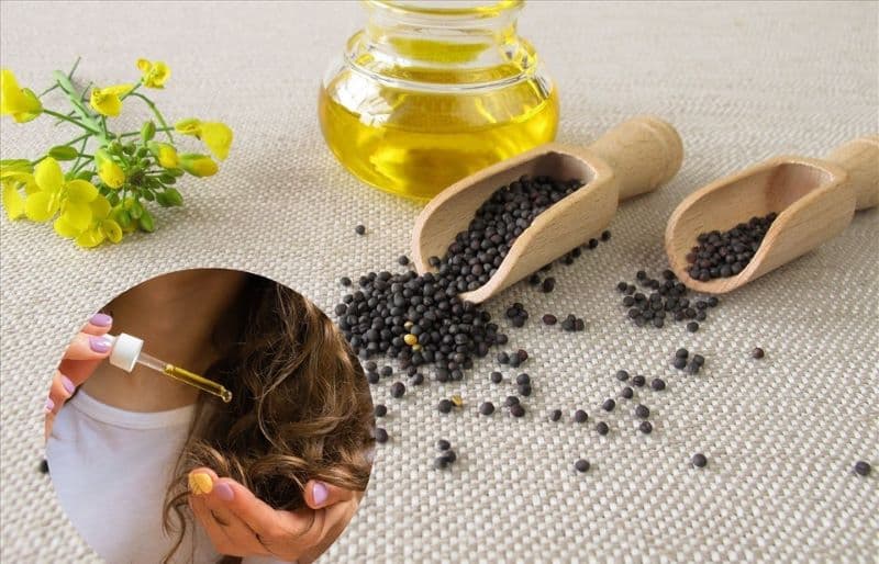 cách sử dụng dầu hạt cải