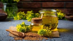 Dầu hạt cải có chiên được không?