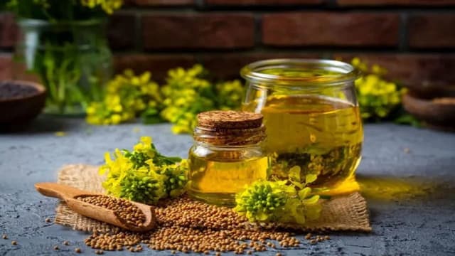 Dầu hạt cải có chiên được không?