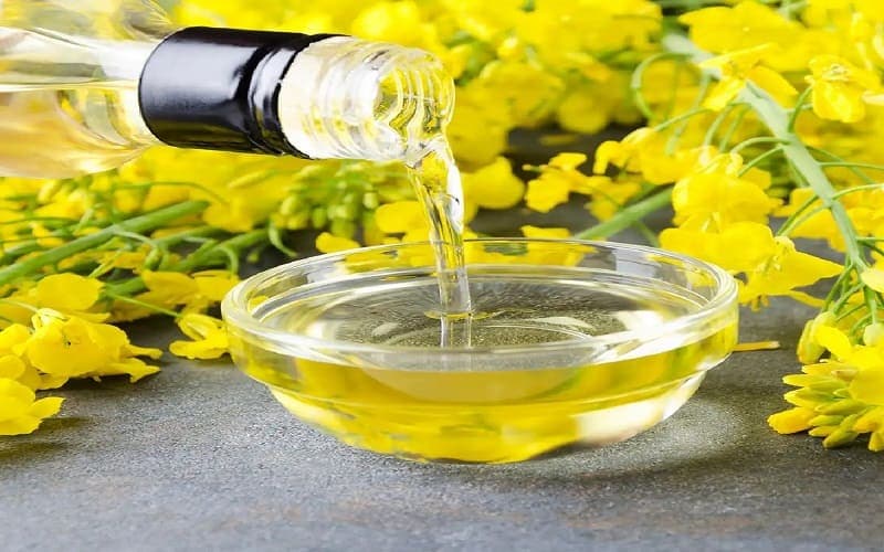 dầu hạt cải bao nhiêu calo