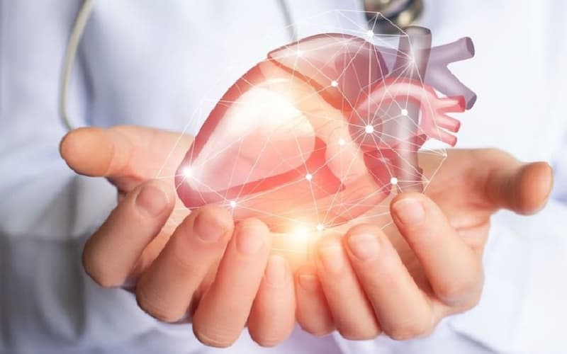 dầu hạt cải có tốt không