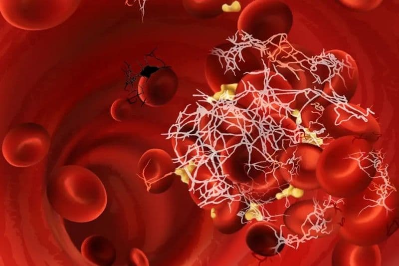 định lượng fibrinogen là gì