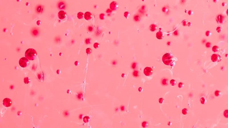 hồng cầu có nhân tế bào bất thường