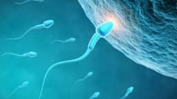 Mỗi lần xuất tinh mất bao nhiêu kẽm?